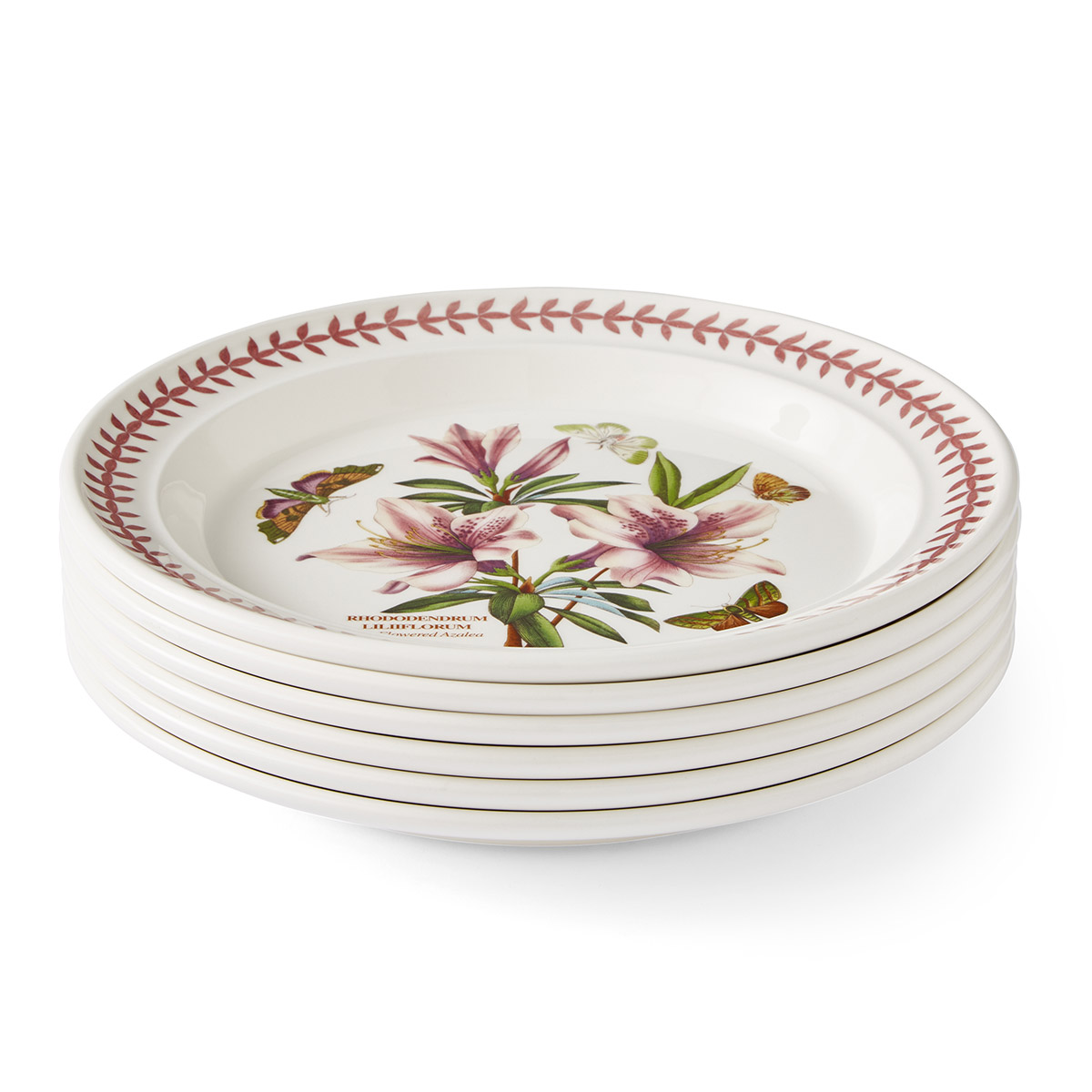 Botanic Garden Meadow 10.5" Plate Set of 6 image number null